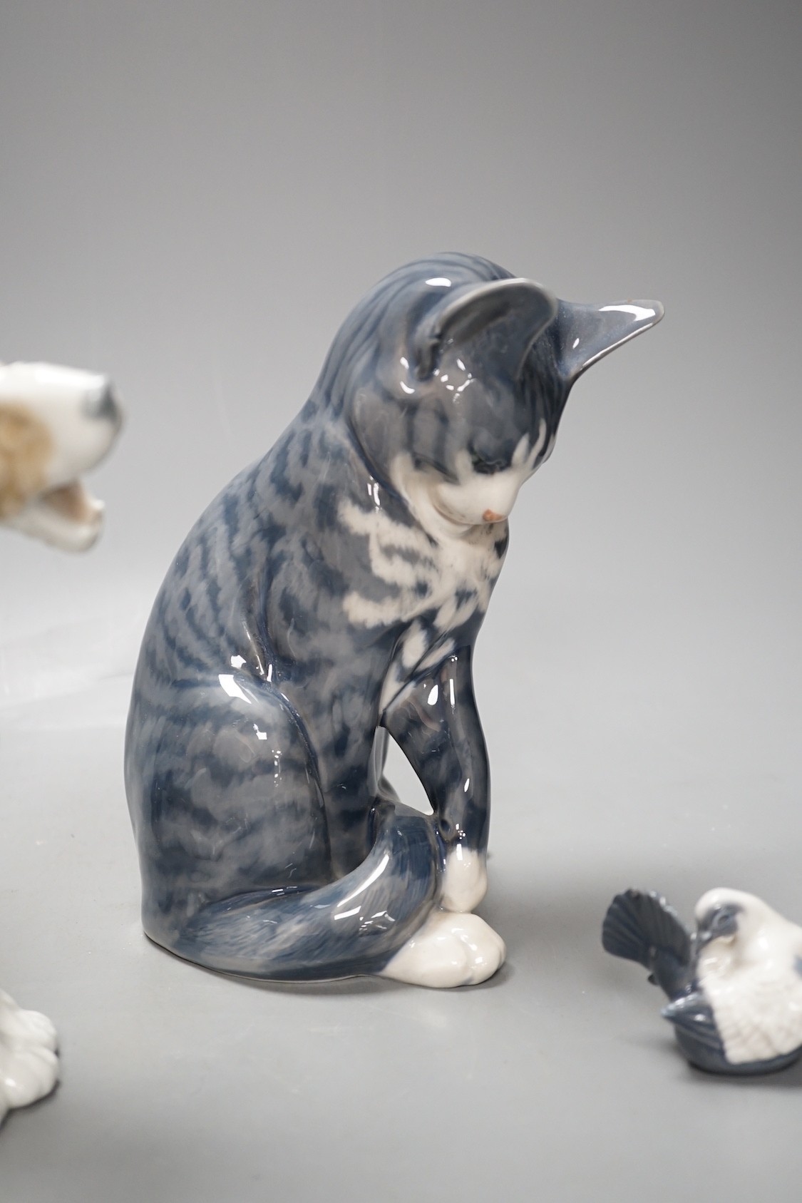 A Royal Copenhagen cat 304, love birds 649, dove 4727, a Lladro dog's head and a Nao figure of a yawning dog - tallest 19cm (5)